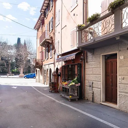 Rosmarino *