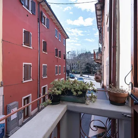 Rosmarino *